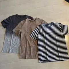 Theory Tシャツ 3枚セット Mサイズ