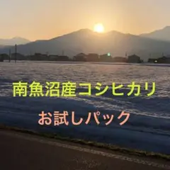 コシヒカリお試しパック(南魚沼産)のサムネイル