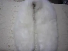 Item thumbnail for item 9d37ae0b-5885-43ca-87b7-9a879e9f1e19