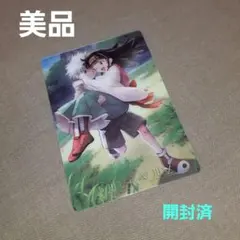 【開封済】HUNTER×HUNTER/イタジャガカード