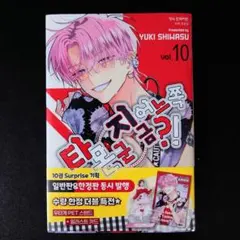 韓国 マンガ『多聞くん今どっち！？』10巻 韓国版 限定特典付き