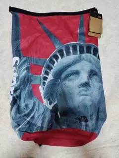 Item thumbnail for item 67835d2b-1251-491b-aecf-d907c856f6af