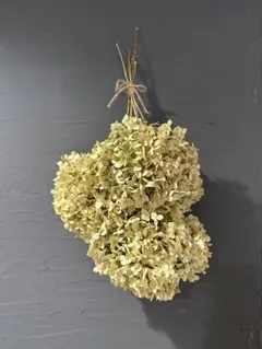 2025年最新】アナベルスワッグの人気アイテム - メルカリ