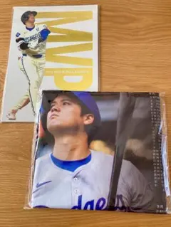 大谷翔平 2024 NL MVP プレミアムホルダー&ビッグタオルセット