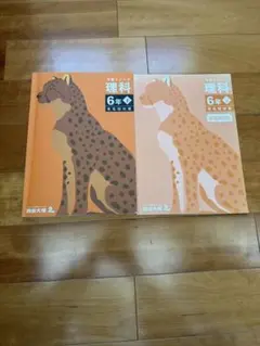 四谷大塚　予習シリーズ　理科 6年生下　有名校対策　書き込み無し