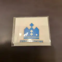Mr.KING SUMMER STATION 페이스 씰 평야 보라