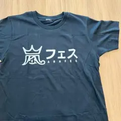 Item thumbnail for item c03e757e-79e2-4d23-b406-a4cb0b69d284