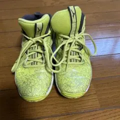 Mizuno Wave Rider グリーンシューズ US 15