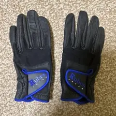 Item thumbnail for item e878e9f5-cf24-43d2-b11c-5d7a5c54a564