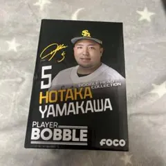 Item thumbnail for item b152b4ee-a25d-47db-9b08-e4f9884b9b26