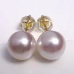 新品・百貨店商品／総本店】2474天女級8.0-8.5mmPTアコヤ真珠ピアス