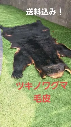 punky綾さん専用です】ヒグマ 毛皮 熊 剥製 - メルカリ