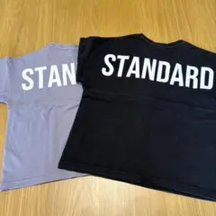 デビロック　STANDARD プリント Tシャツ2枚