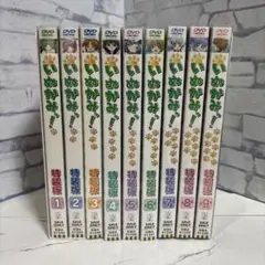 いぬかみっ！DVD