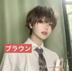【新品！未使用！】ウイッグ　メンズ　ブラウン　かつら　フリーサイズ　男女兼用