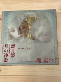 恋月姫 人形姫 震える目蓋 球体関節人形展 写真集 ミニチュア