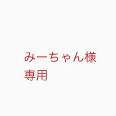 みーちゃん様専用