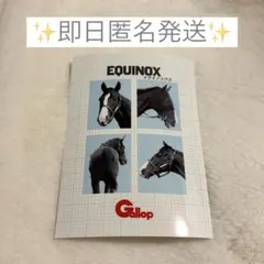 【匿名発送】イクイノックス 証明写真風プリント