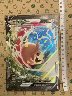 2025年最新】モルペコ v unionの人気アイテム - メルカリ