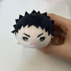 ハイキュー！！ 岩泉一 もちもちマスコット