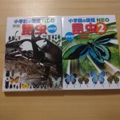 Item thumbnail for item c47b2dfc-9a11-4b0d-9603-ac3006314690