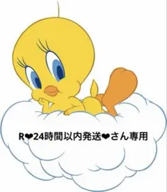 R❤︎24時間以内発送❤︎さん専用