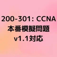 【2025年10月更新】CCNA v1.1対応 問題集(解説付き)