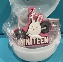 ミニティーンぷっくりめじるしアクセサリー　seventeen セブチ　エスクプス