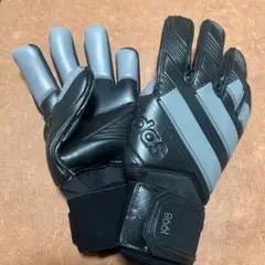 廃盤モデル】アディダスGKグローブ プレデターGLプロハイブリッド8号
