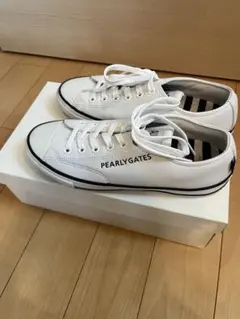 Item thumbnail for item 4c80177c-7066-48e3-bfeb-4f16178bbd6a