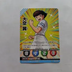 希少、超レア品』キャプテン翼、王者のフィールド 賀茂 港5枚セット