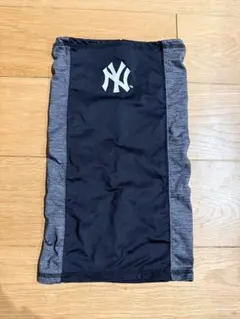 Item thumbnail for item 0f4e0a24-bbf8-419f-a649-9a5e1e5162cb