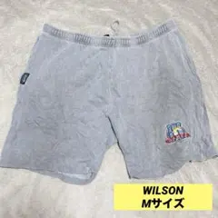 Item thumbnail for item 260e9643-a155-4596-a8d6-541c01c2edbf