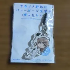 2026年最新】青ブタ イヤホンの人気アイテム - メルカリ