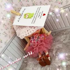 ெ˚❁⃘*.゜ハンドメイド　イーマリー　イルメール　アウトフィット　お人形