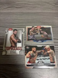 Item thumbnail for item 905ab7ab-38f9-4a13-843e-836a26c7065d