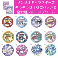 サンリオキャラクターズ キラキラＢＩＧ缶バッジ２　全12種フルコンプリート