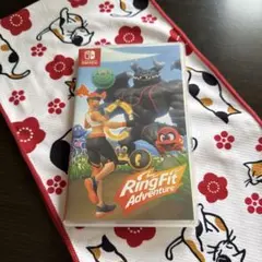 Nintendo Switch リングフィット アドベンチャー
