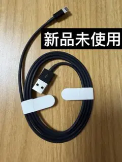 《純正品》新品未使用　Apple spacegrey Lightningケーブル