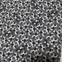 Item thumbnail for item ef2c4031-224b-41de-872b-88ac330e9c10