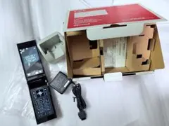 NTT docomo F-01C 本体 充電器付き