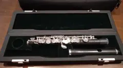 Item thumbnail for item c48bd667-aab4-44d5-9f8b-9b036b1e0a7c