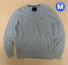 AMERICAN EAGLE グレー Vネックセーター 170/104A Ｍ