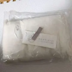 Item thumbnail for item 4f092169-74d8-4f63-a5e4-87cf82ff1467