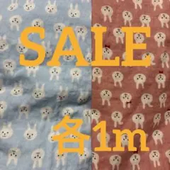 Item thumbnail for item 99ef8cee-68d9-432f-a14b-c34109f99742