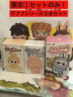 正規品・未開封品】 LABUBU シリーズ エナジー・マカロン・ハブアシード