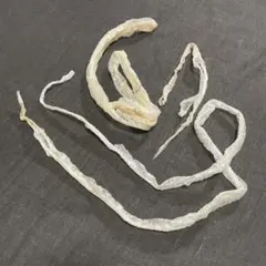 Item thumbnail for item dded0ea4-8c7f-48d7-a8d3-a909c68a3f15