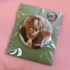 劇場版 鬼滅の刃 無限城編 描き下ろしイラスト 飾れる缶バッジ 不死川実弥