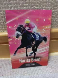 2026年最新】サラブレッドカード ナリタブライアンの人気アイテム