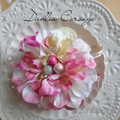 【箱入り】ダリアコサージュ　ピンククリーム　卒園卒業入園　入学　セレモニー
